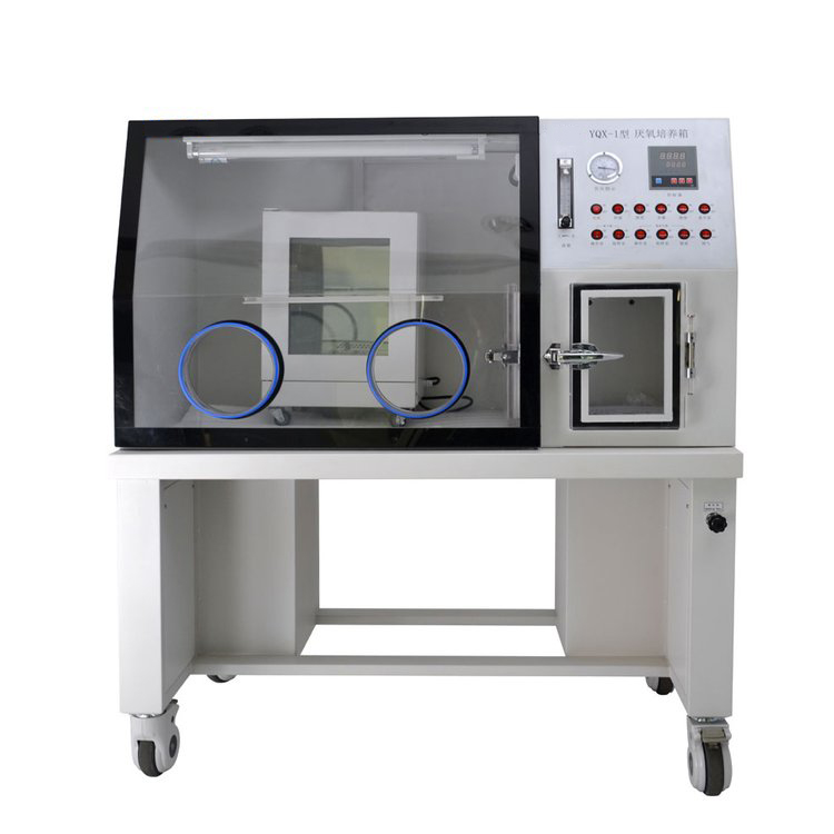 厭氧培養(yǎng)箱